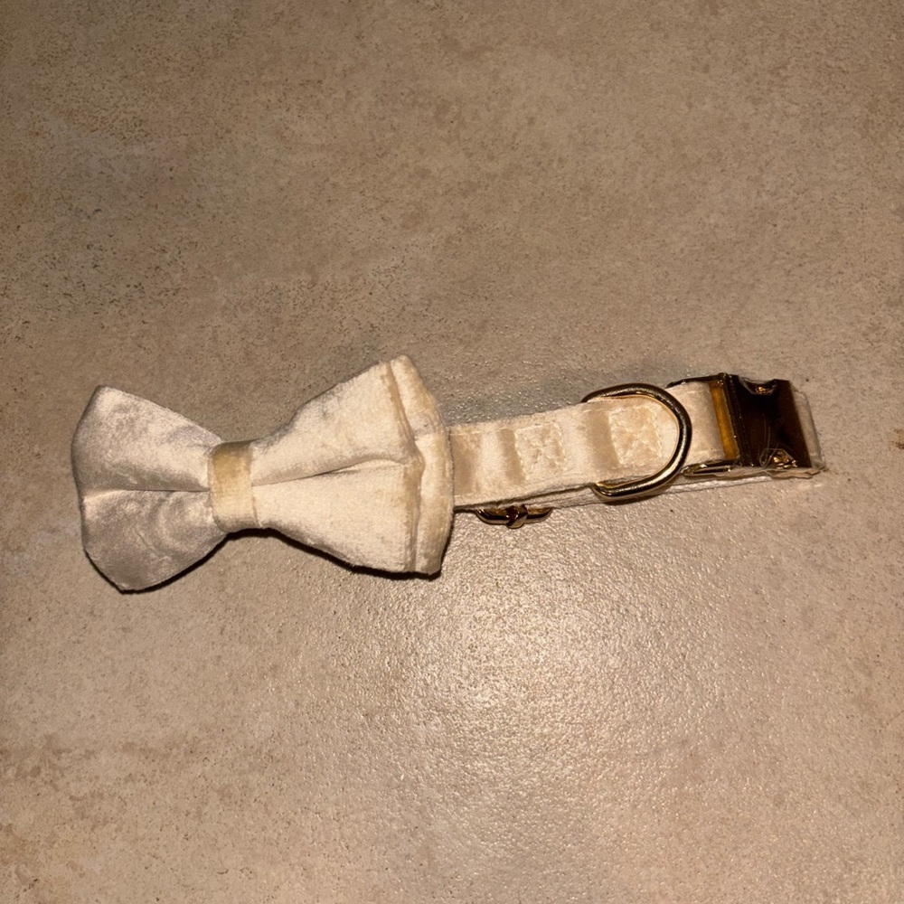 NIB Velvet Cream Bow Tie Dog Collar